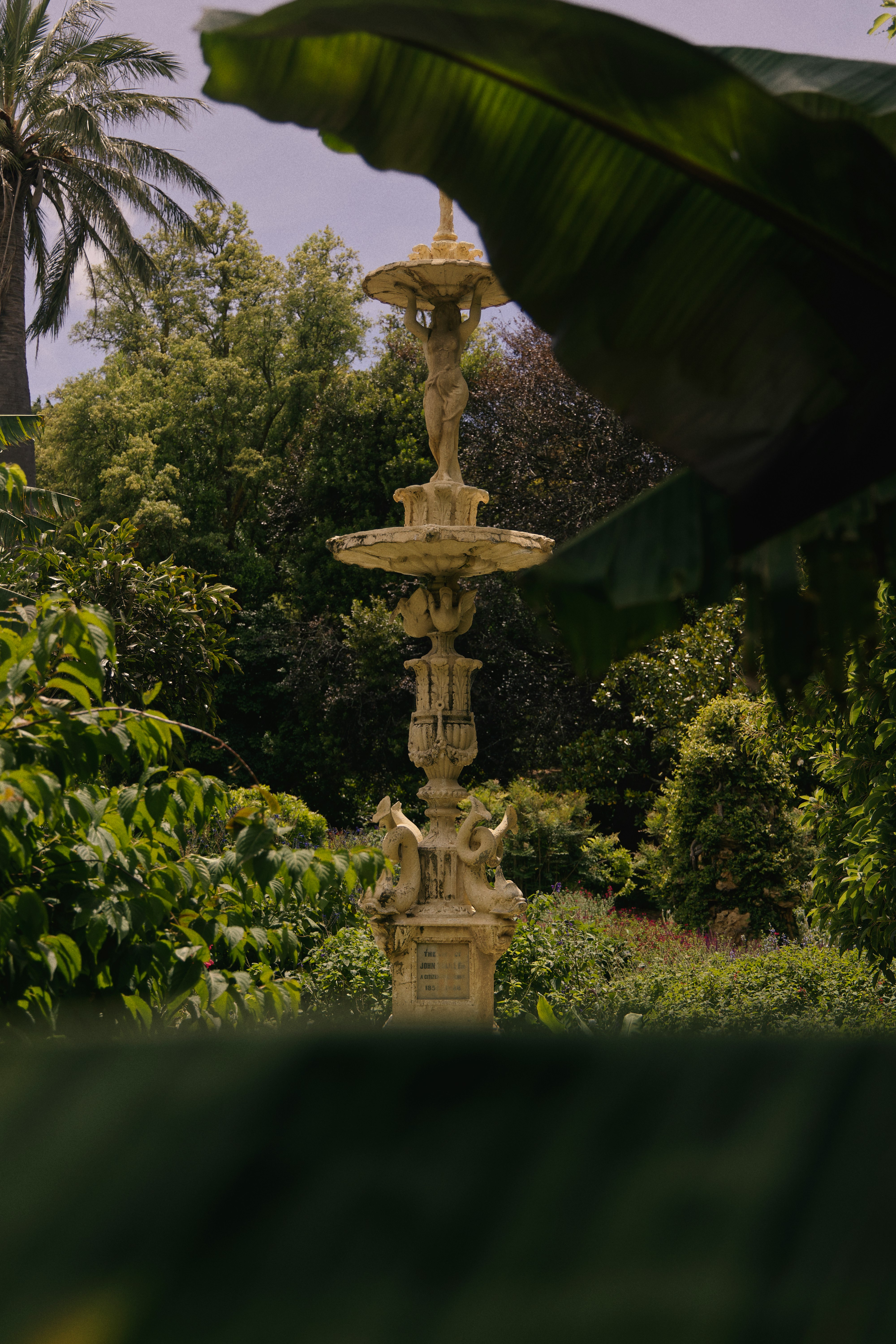 brown concrete outdoor fountain surrounded by green plants during daytime